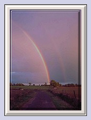 Un matin pas comme les autre